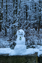 snowman in the forest