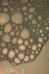 Rainbow Suds Wallpaper Background Texture. Bubbles containing lots of vibrant beautiful colors. Abstract fun image.