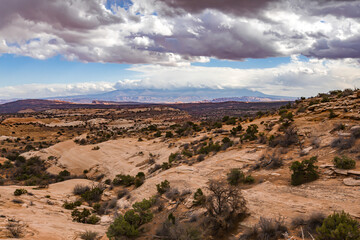 Obraz premium Utah Canyonlands