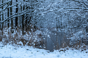 a frozen lake in winter