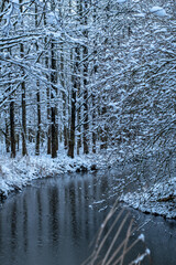 a frozen lake in winter
