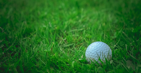 A white golf ball on the green grass in the field.