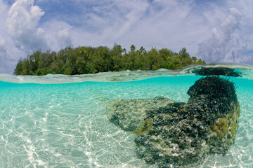 Fototapeta na wymiar lagon translucide de moorea - polynesie francaise