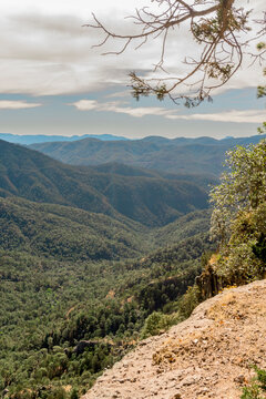 Bosque de Mexiquillo 
