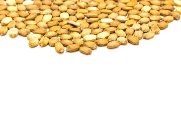 Mound of handful bitter melon Momordica charantia seeds isolated on white with cutout space