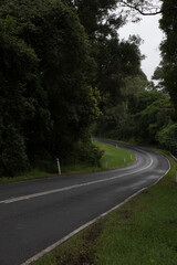 Obraz premium Green landscapes, Sunshine Coast Hinterland, Queensland, Australia