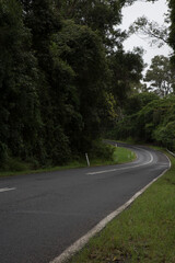 Fototapeta na wymiar Green landscapes, Sunshine Coast Hinterland, Queensland, Australia