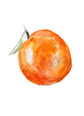 Fototapeta premium watercolor fruit hand drawn bright