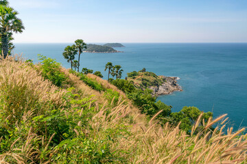 Laem promthep cape with coconut palm trees and grass in the foreground beautiful scenery andaman sea in summer season Phuket thailand Beautiful travel background