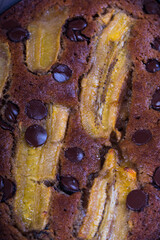 gourmet banana chocolate bread with reall banana slice on top