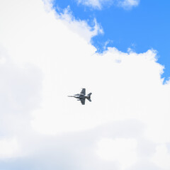 Fototapeta na wymiar Fighter Jet
