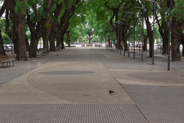 City park without people during coronavirus.
