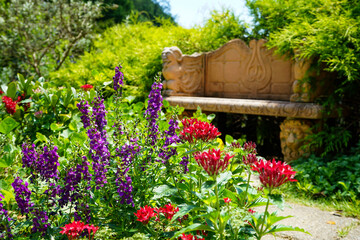 Fototapeta premium 小さな庭