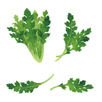 食材イラスト Images Browse 21 Stock Photos Vectors And Video Adobe Stock