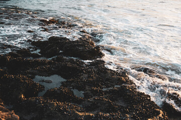 blue waves crashing on beach rocks