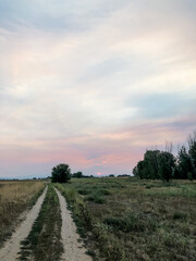 pastel pink and blue sky sunset with clouds, dirt road, and trees