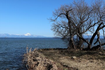 冬の琵琶湖