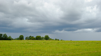 summer meadow on the background of the sky with clouds