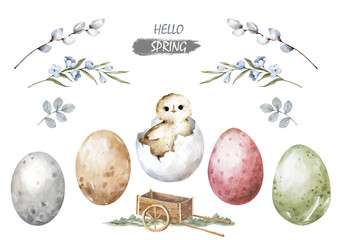 Happy easter hatching chick with set egg, willow stick. Hand painting illustration for design © Anna Terleeva