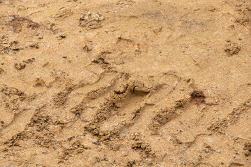 footprint on sand