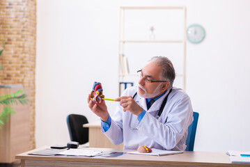 Old male doctor cardiologist holding heart model