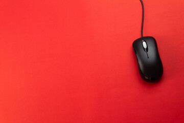 computer mouse