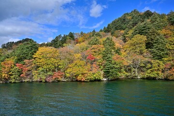 Fototapeta na wymiar 遊覧船から見た十和田湖のちょうど見頃の紅葉情景＠青森
