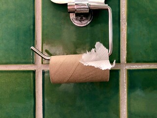 left over toilet paper roll on the hanger, and green tile wall