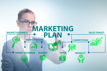 Fototapeta na wymiar Marketing plan concept illustration with businesswoman