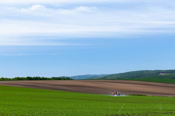 畑のツートンカラー