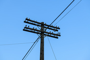 Telegraph pole with glass insulators