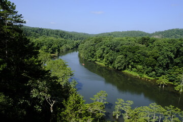 Fototapeta premium View of the river between the woods in Beavers Bend State Park, Oklahoma