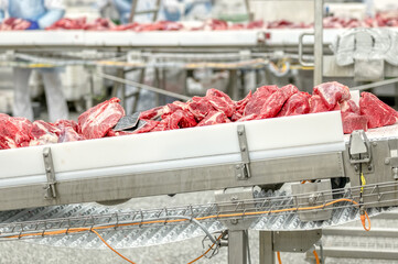 Fresh beef. Meat cut into large pieces