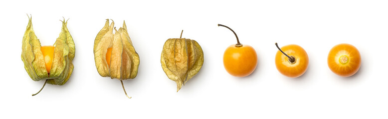 Fototapeta premium Collection of physalis berries isolated on white background