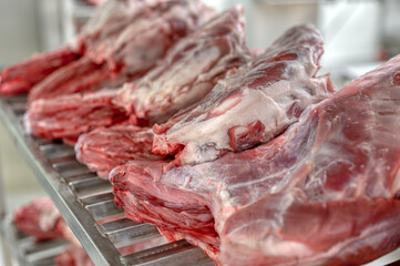 Calf carcasses lie on a metal shelf.