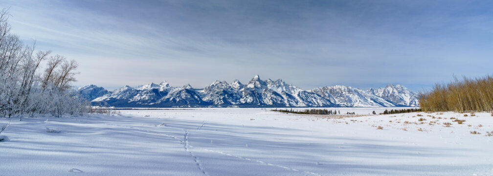 Snowy Panoramic of Grand Tetons in Jackson Hole During Winter