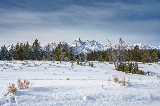 Winter Scene in Jackson Hole with Snow Covered Grand Tetons