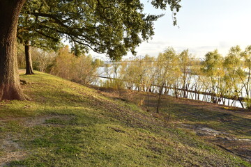 Obraz premium River Bluff