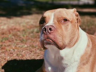 Processed with VSCO with p5 preset
