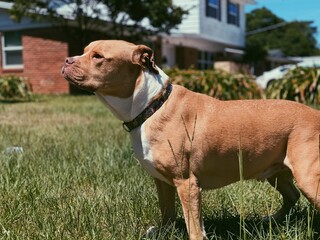 Processed with VSCO with p5 preset