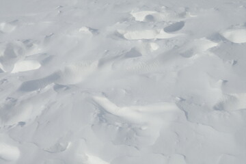 雪に覆われた大地