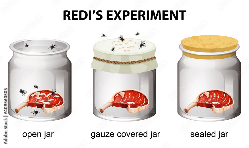 Sticker Redi's Experiment diagram for education