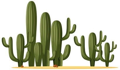 Different shapes of cactus in a group