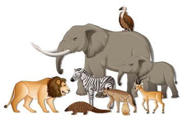 Group of wild African animals on white background