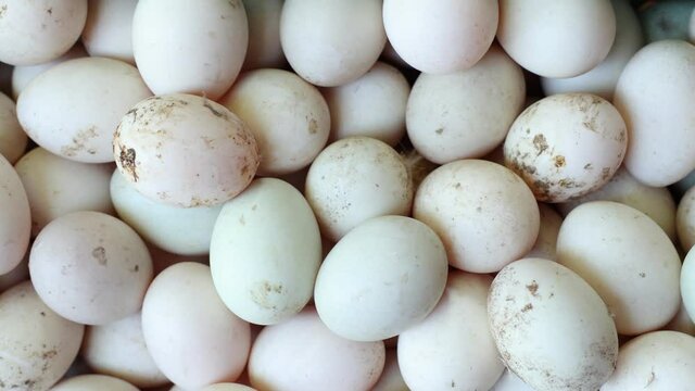 Several fresh white duck eggs are contaminated with duck eggs. Is placed in the crate, Top view
