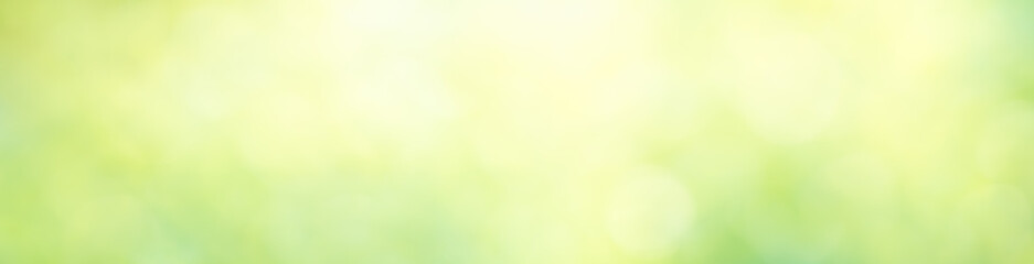 abstract blurred bokeh light from nature using as background cover page or wallpaper