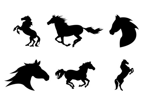 Icon, Logo, Horse Silhouette Simple Design Set Vector Eps 10