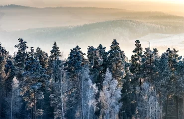 Papier Peint photo Lavable Forêt dans le brouillard Paysage d& 39 hiver avec forêt, montagnes, ciel avec nuages, brume givrée dans les rayons du soleil couchant