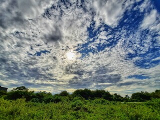 Obraz premium beautiful morning landscape with blue sky, white clouds, sun bright and green grass