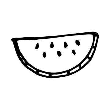 fresh watermelon with two type of slice and using sketch style